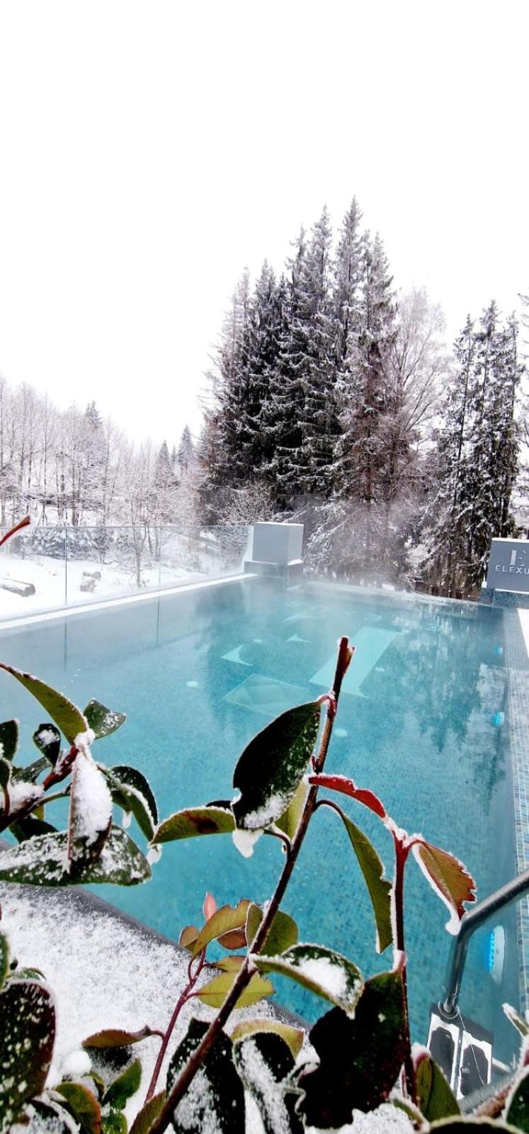 Elexus Boutique Hotel Predeal Buitenkant foto